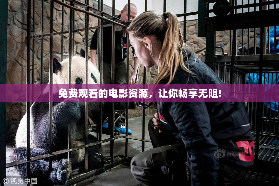 免费观看的电影资源，让你畅享无阻!