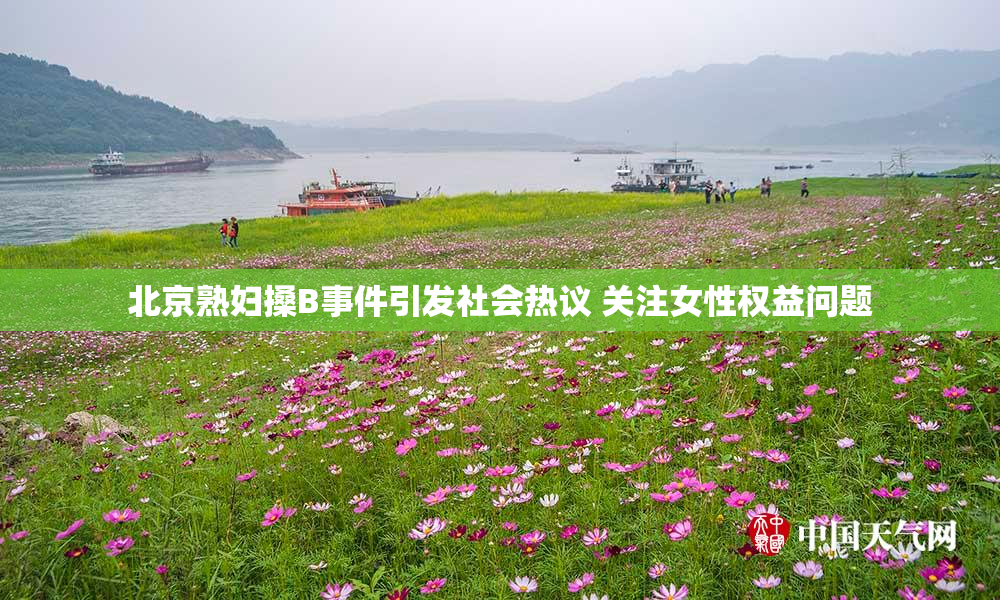 北京熟妇搡B事件引发社会热议 关注女性权益问题