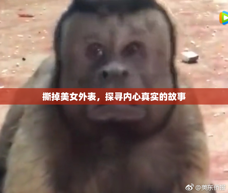 撕掉美女外表，探寻内心真实的故事
