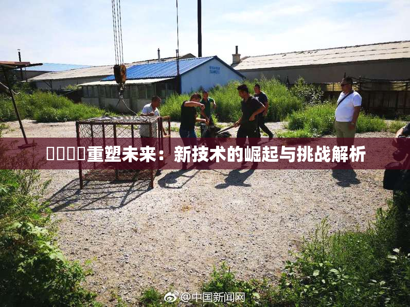 ❌‌❌‌重塑未来：新技术的崛起与挑战解析