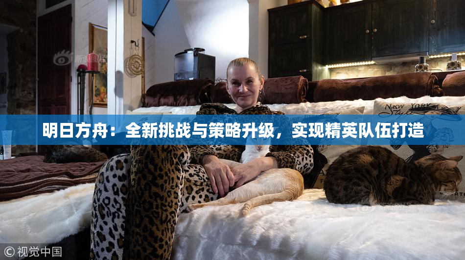 明日方舟：全新挑战与策略升级，实现精英队伍打造
