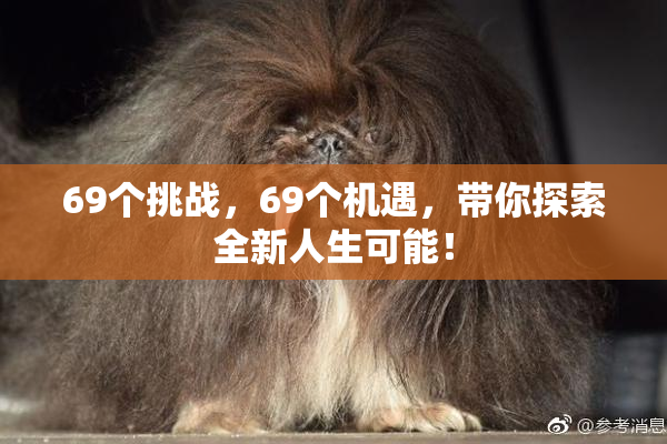 69个挑战，69个机遇，带你探索全新人生可能！