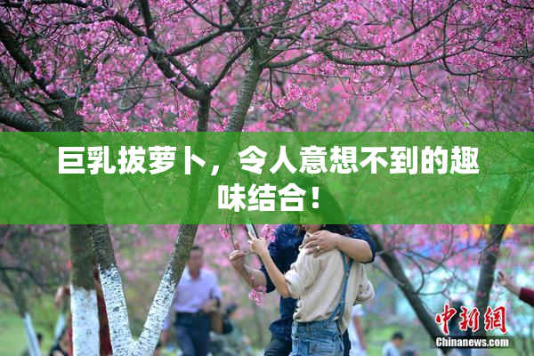 巨乳拔萝卜，令人意想不到的趣味结合！