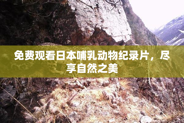 免费观看日本哺乳动物纪录片，尽享自然之美