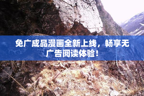 免广成品漫画全新上线，畅享无广告阅读体验！