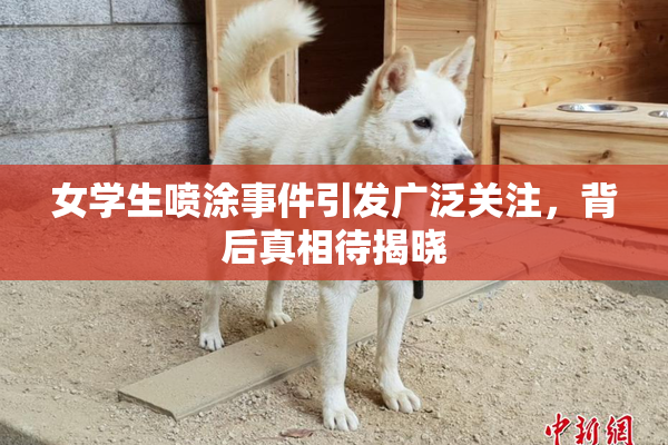 女学生喷涂事件引发广泛关注，背后真相待揭晓