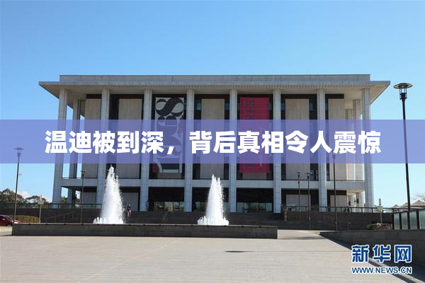 温迪被到深，背后真相令人震惊