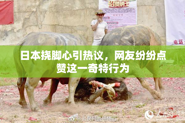 日本挠脚心引热议，网友纷纷点赞这一奇特行为