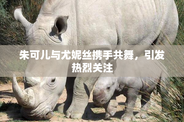 朱可儿与尤妮丝携手共舞，引发热烈关注