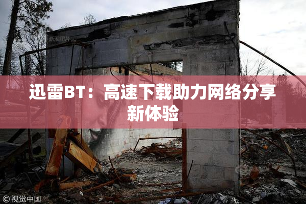 迅雷BT：高速下载助力网络分享新体验