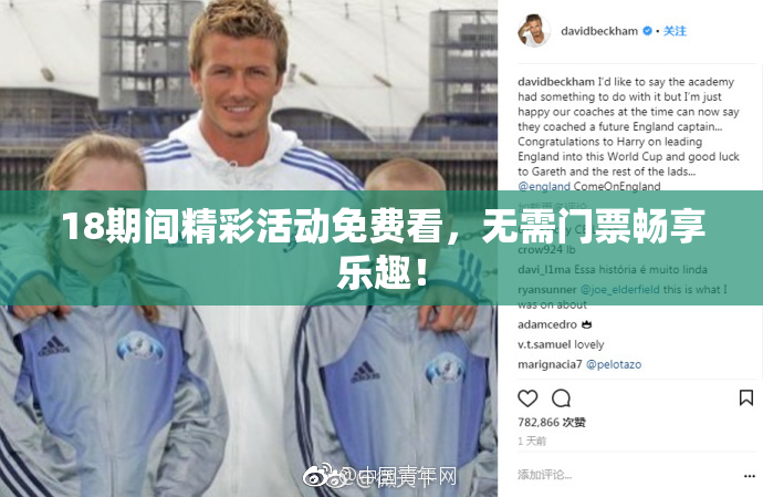 18期间精彩活动免费看，无需门票畅享乐趣！