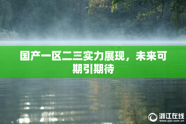 国产一区二三实力展现，未来可期引期待