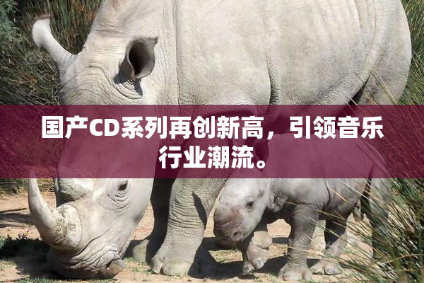 国产CD系列再创新高，引领音乐行业潮流。
