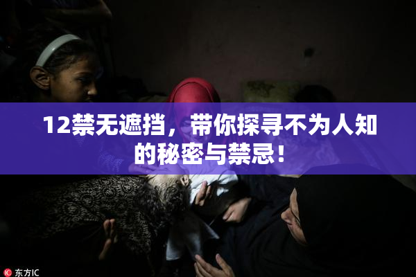 12禁无遮挡，带你探寻不为人知的秘密与禁忌！