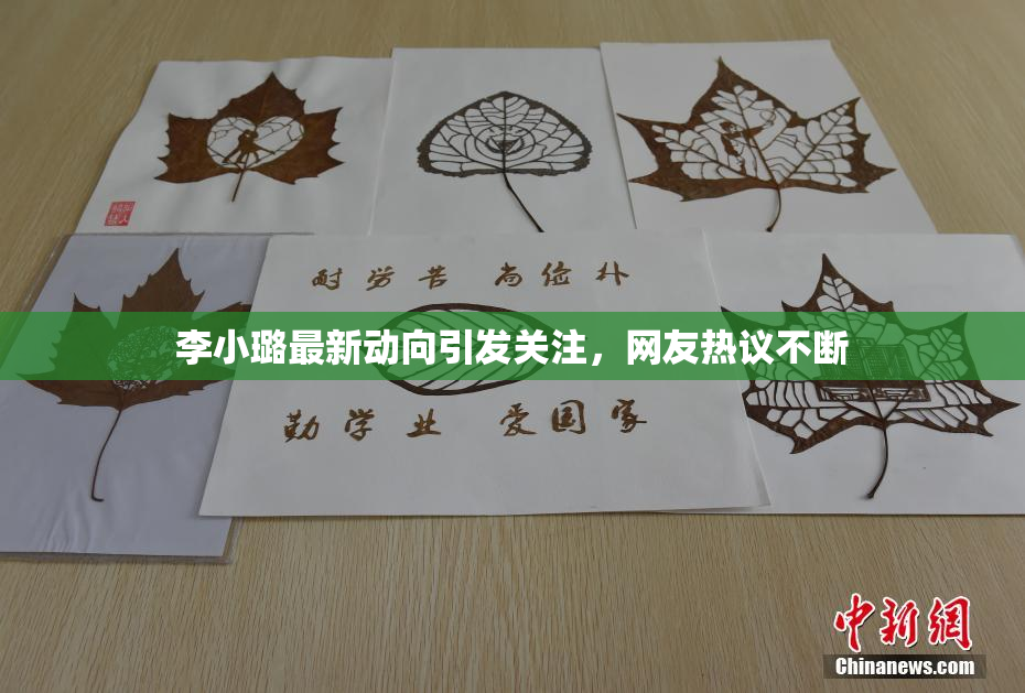 李小璐最新动向引发关注，网友热议不断