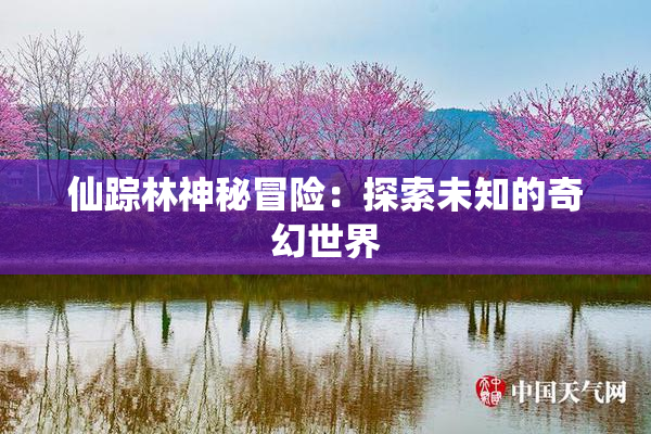 仙踪林神秘冒险：探索未知的奇幻世界