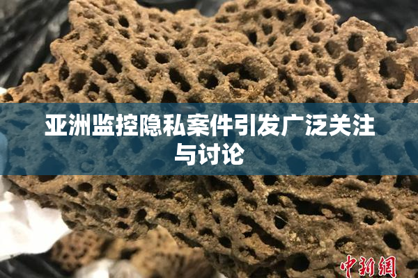 亚洲监控隐私案件引发广泛关注与讨论