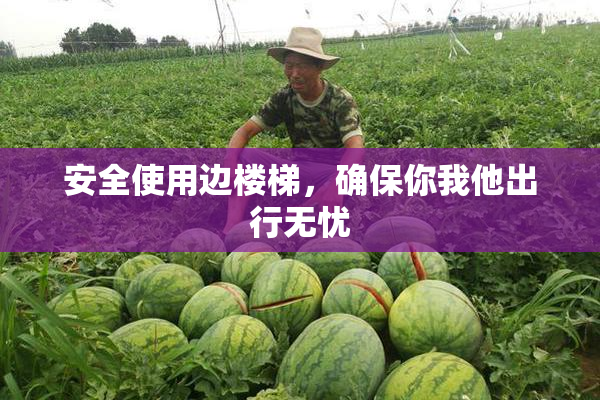 安全使用边楼梯，确保你我他出行无忧