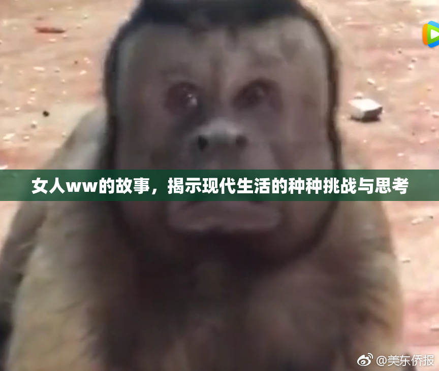 女人ww的故事，揭示现代生活的种种挑战与思考