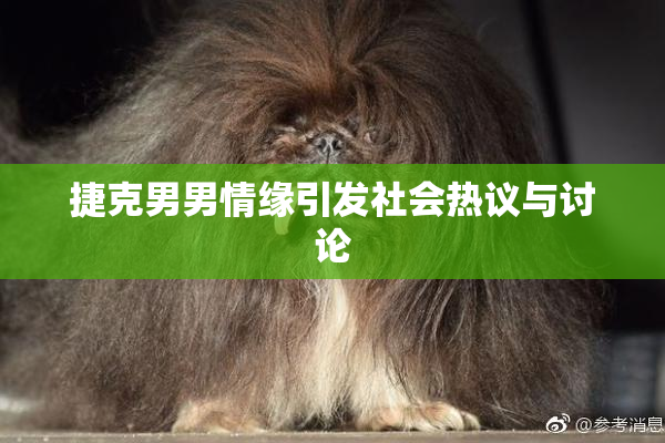 捷克男男情缘引发社会热议与讨论