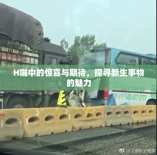H啪中的惊喜与期待，探寻新生事物的魅力
