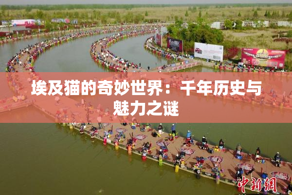 埃及猫的奇妙世界：千年历史与魅力之谜