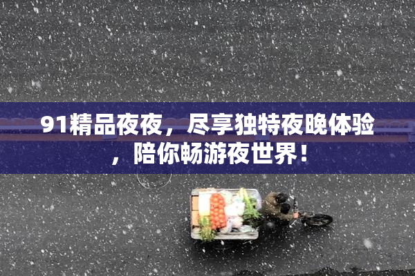 91精品夜夜，尽享独特夜晚体验，陪你畅游夜世界！
