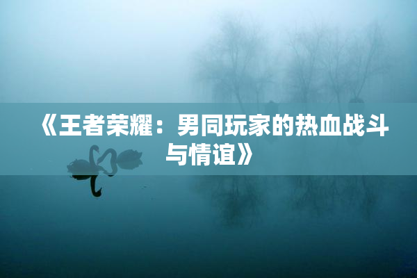 《王者荣耀：男同玩家的热血战斗与情谊》