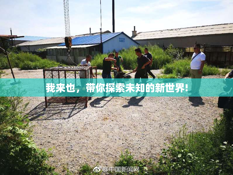 我来也，带你探索未知的新世界!