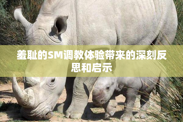 羞耻的SM调教体验带来的深刻反思和启示