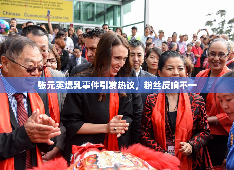 张元英爆乳事件引发热议，粉丝反响不一