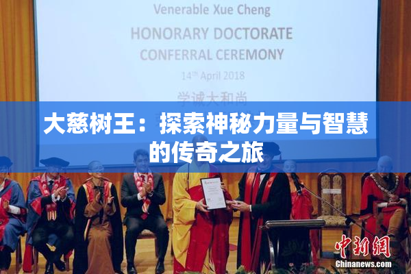 大慈树王：探索神秘力量与智慧的传奇之旅