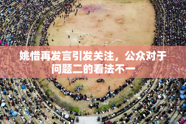 姚惜再发言引发关注，公众对于问题二的看法不一
