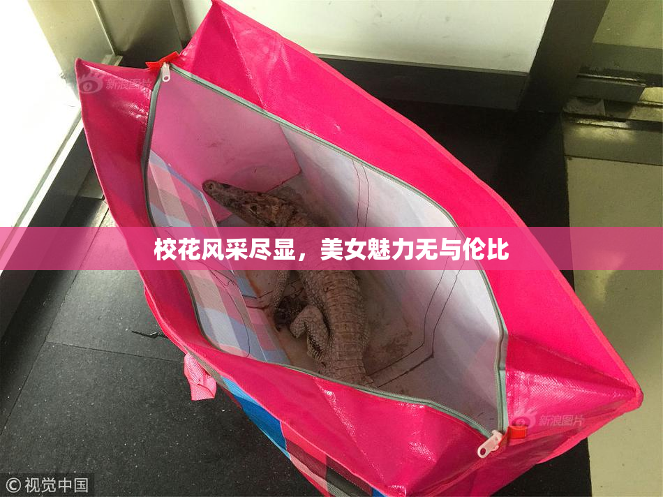 校花风采尽显，美女魅力无与伦比