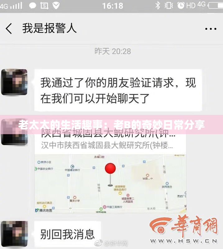 老太太的生活趣事：老B的奇妙日常分享