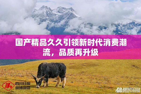 国产精品久久引领新时代消费潮流，品质再升级