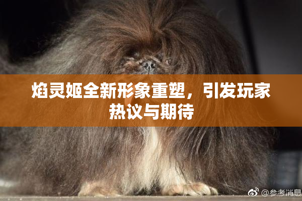 焰灵姬全新形象重塑，引发玩家热议与期待