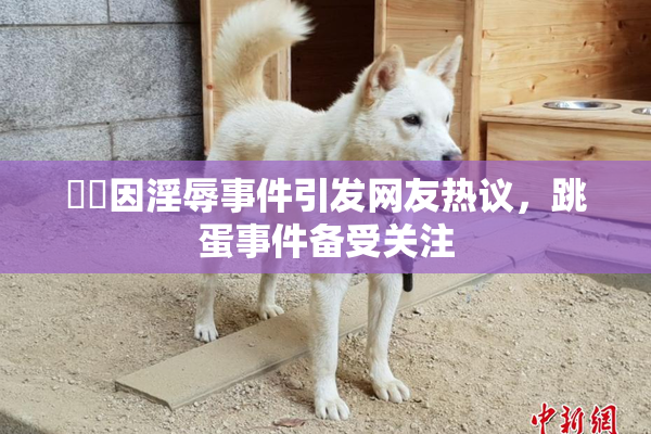 妺妺因淫辱事件引发网友热议，跳蛋事件备受关注