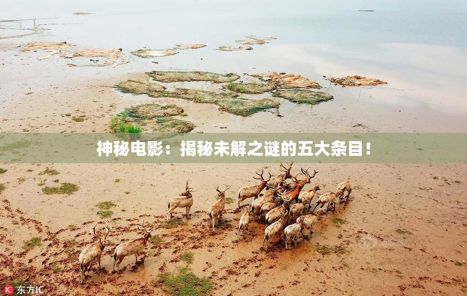 神秘电影：揭秘未解之谜的五大条目！