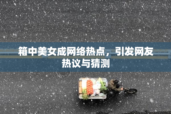 箱中美女成网络热点，引发网友热议与猜测