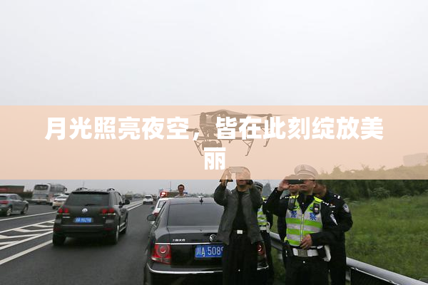 月光照亮夜空，皆在此刻绽放美丽