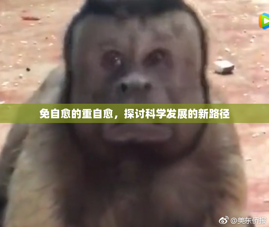 免自愈的重自愈，探讨科学发展的新路径