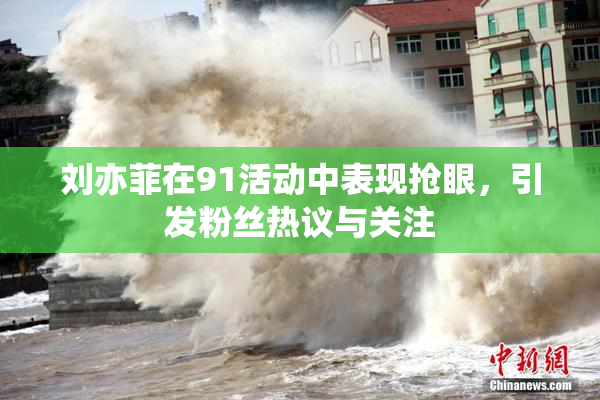 刘亦菲在91活动中表现抢眼，引发粉丝热议与关注