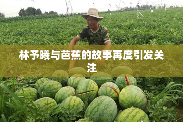 林予曦与芭蕉的故事再度引发关注