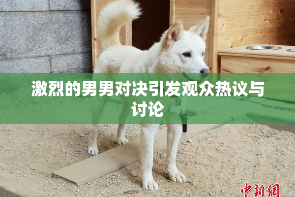 激烈的男男对决引发观众热议与讨论