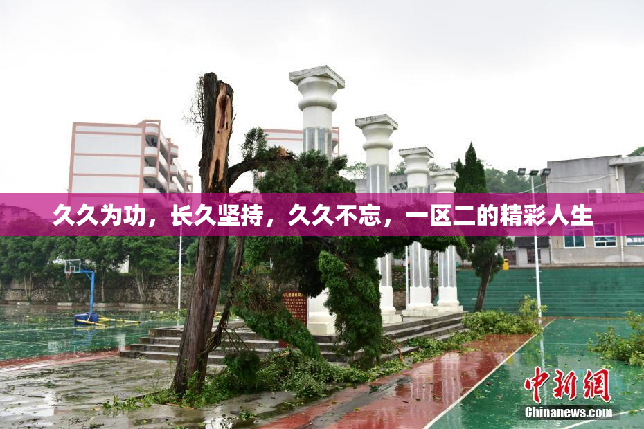 久久为功，长久坚持，久久不忘，一区二的精彩人生