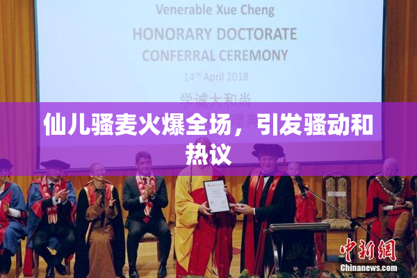 仙儿骚麦火爆全场，引发骚动和热议