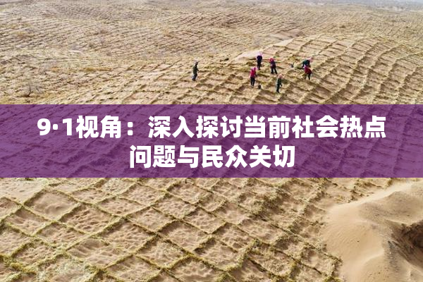 9·1视角：深入探讨当前社会热点问题与民众关切