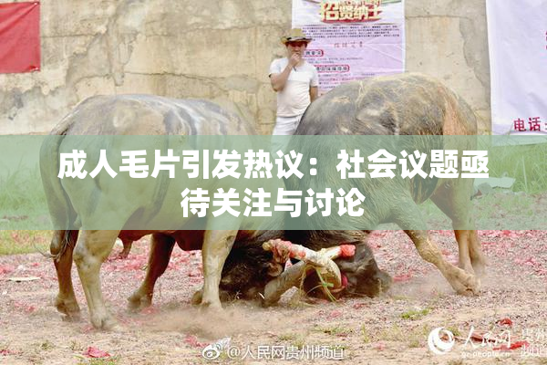 成人毛片引发热议：社会议题亟待关注与讨论