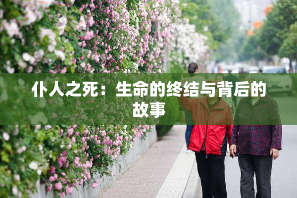 仆人之死：生命的终结与背后的故事